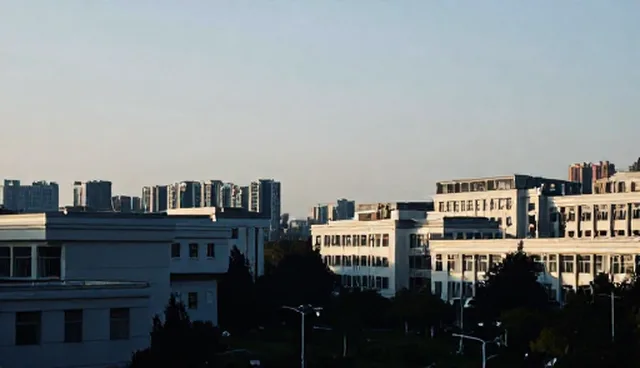 数据整理分析中的常见误区与解决方向